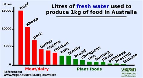 How much water do vegans save